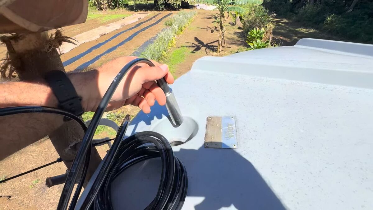 A hand lowering the stainless QDY30A pressure probe and its black cable through the lid of the white water tank, the planted rows visible below.