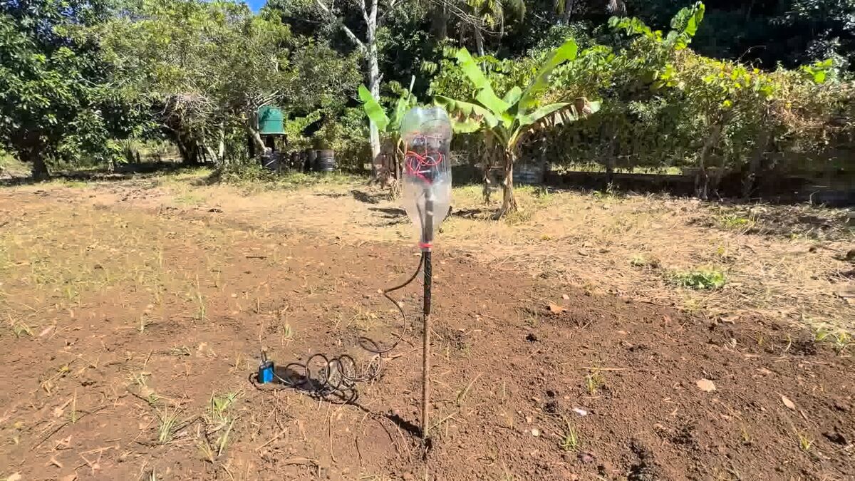 A soil node in the field: the electronics housed in a cut plastic bottle on a wooden post, its probe cable running down into the bare soil of a planted bed.